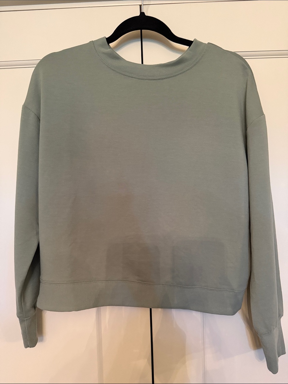 Minimal Crewneck Sweatshirt in Sage Green
